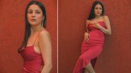 Shehnaaz Gill Hot Video: हॉट रेड ड्रेस में दिखा शहनाज गिल का 'सेनोरिटा' अवतार, सिजलिंग वीडियो हुआ वायरल